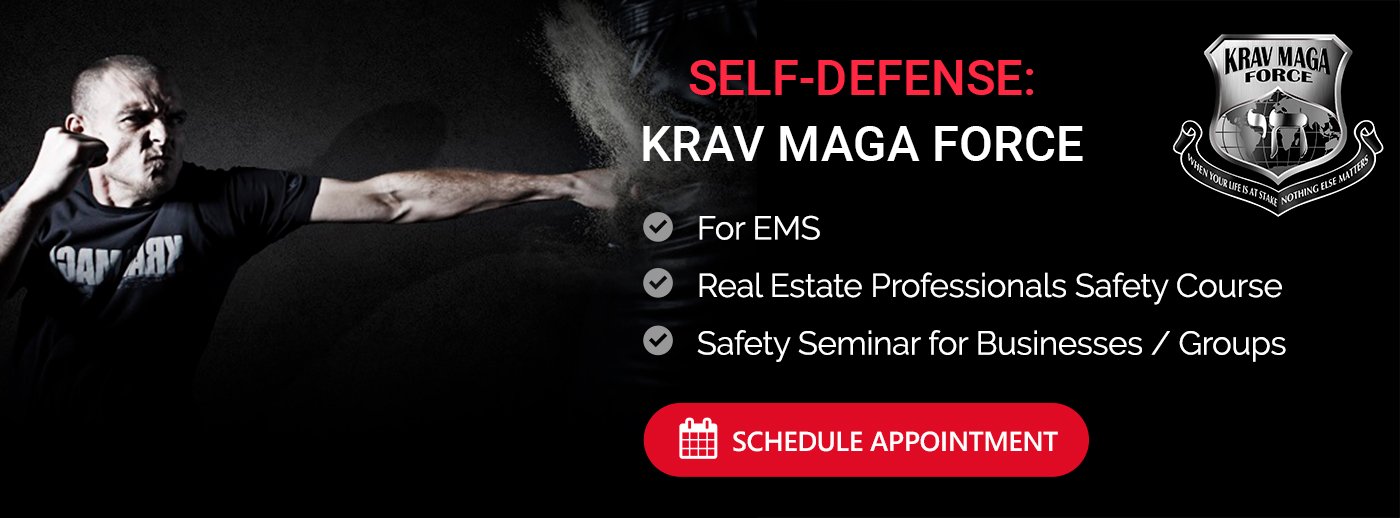 Krav Maga Training